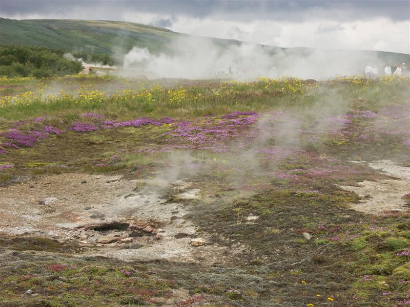 Iceland Geothermal fields around Geysir.jpg